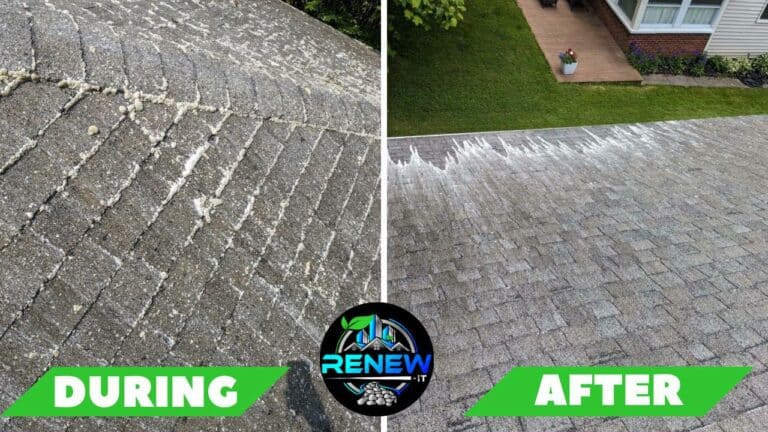 roof cleaning companies Naples, NY